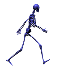 Skeleton Animation: Poser 2, 15 frames